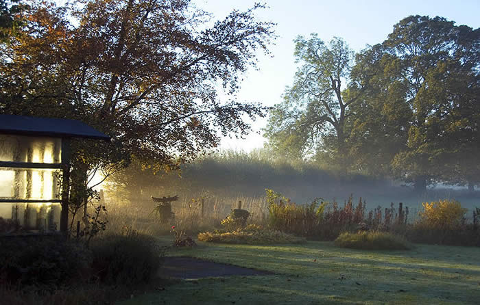 early morning light in my Lincolsnhire garden