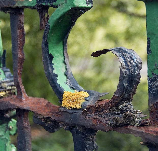 Lament decaying ironwork